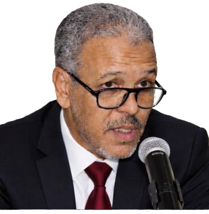 Lecture de la tournée présidentielle : du désenclavement à la construction de l'économie locale/Ahmed Mohamed Hamada, écrivain et analyste politique